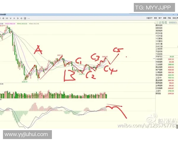 西安排球队防守策略分析及其在比赛中的成效评估